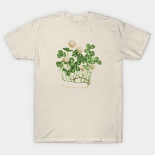 Shamrock Plant Vintage Botanical Illustration T-Shirt